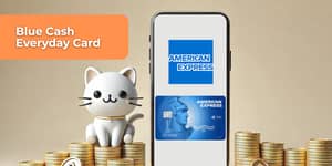 Blue Cash Everyday Card: See everything you need to know
